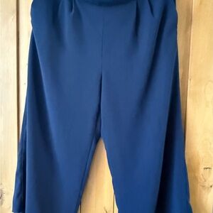 J. Crew Wide Leg Navy Pants
